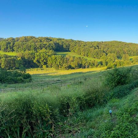 Bauernhof Fuer Naturliebhaber Bucha  Экстерьер фото
