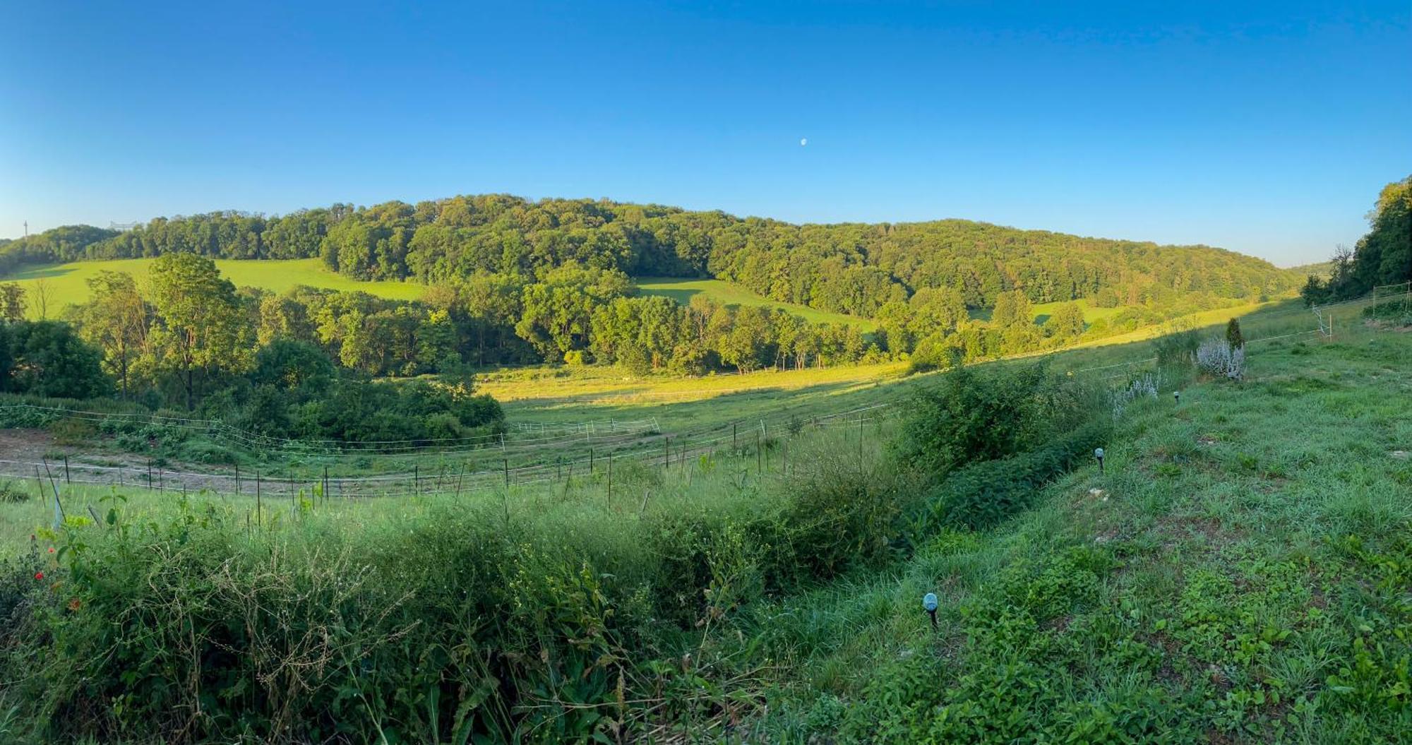 Bauernhof Fuer Naturliebhaber Bucha  Экстерьер фото